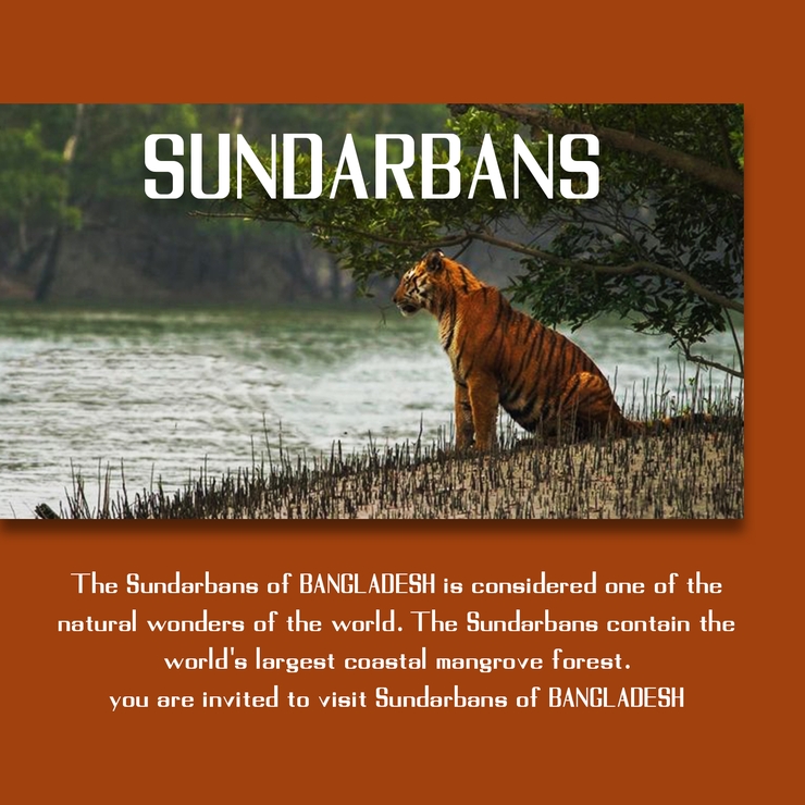 Sundarbans字体 1