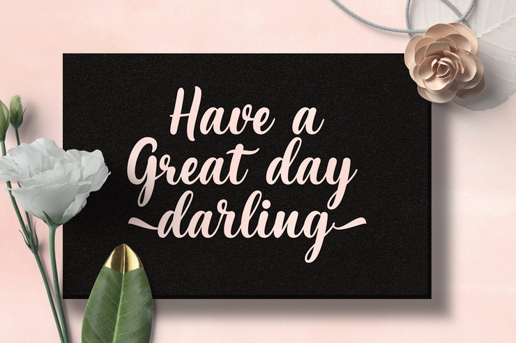 Maria Aishane Script字体 4