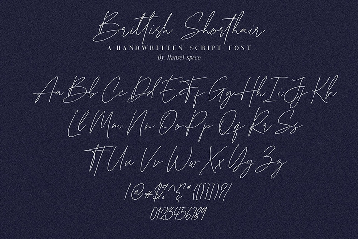 Brittish Shorthair字体 4
