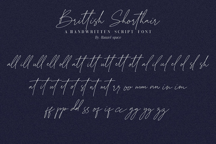 Brittish Shorthair字体 8