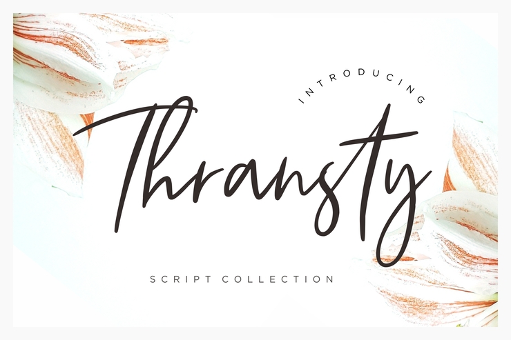 Thransty Handwritten Script字体 1