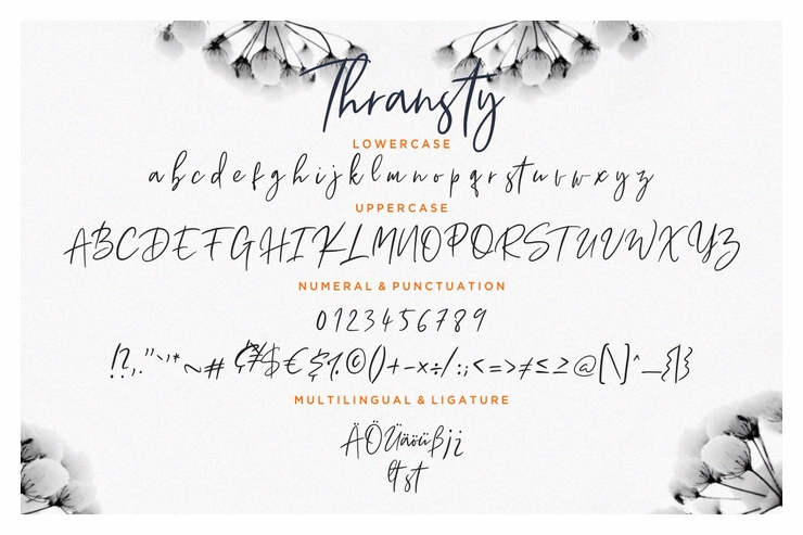 Thransty Handwritten Script字体 2