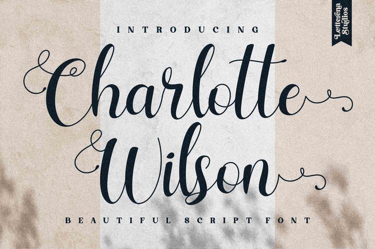 Charlotte Wilson字体 6