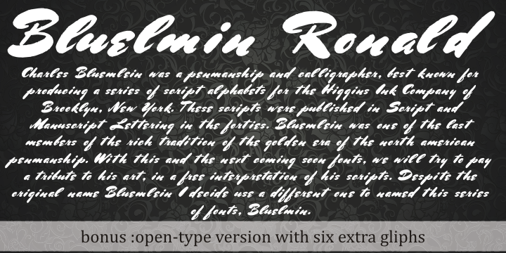 Bluelmin Ronald字体 1