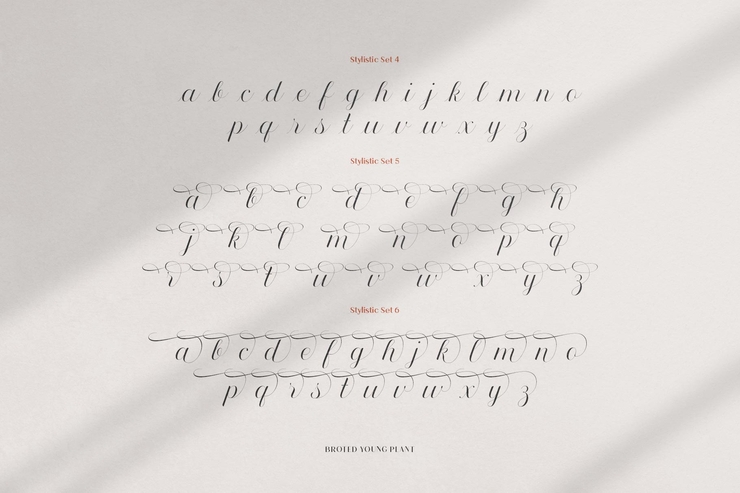 Broted Young plant script字体 1