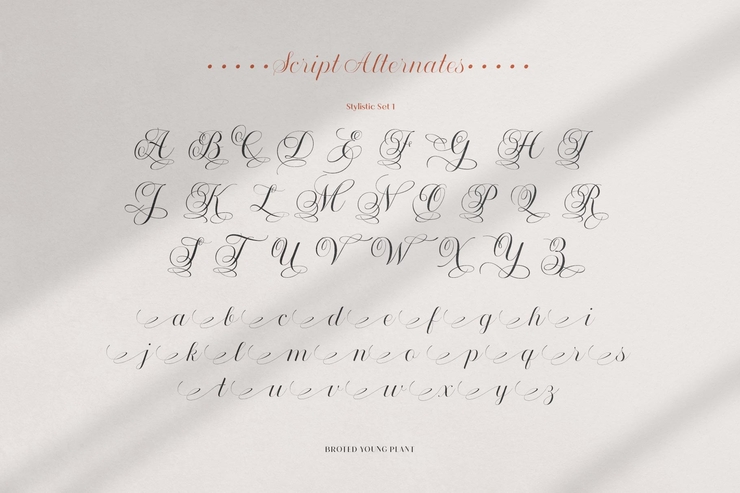 Broted Young plant script字体 3