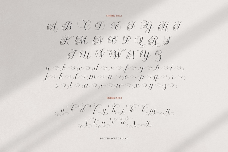 Broted Young plant script字体 6