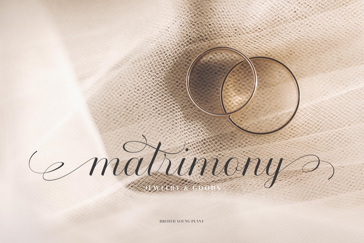 Broted Young plant script字体 7