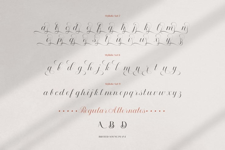 Broted Young plant script字体 8