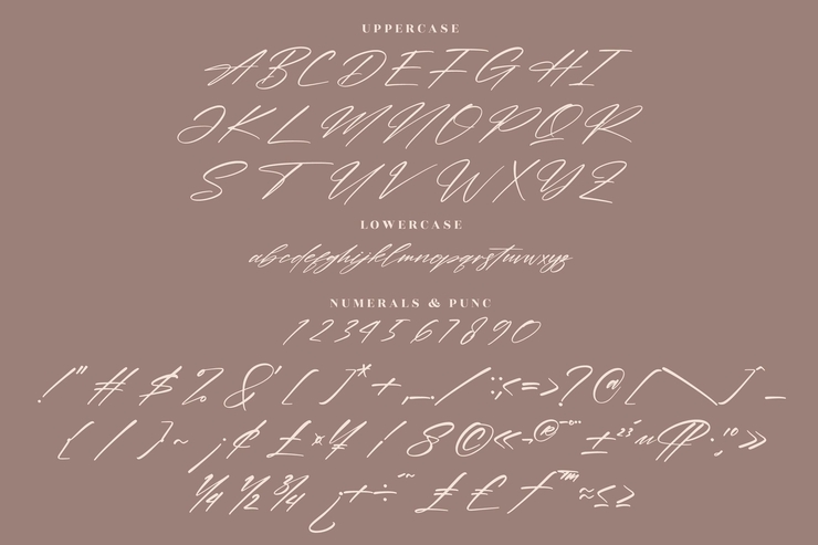 Montana Pictures字体 9