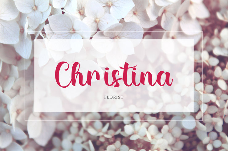 Alicia Catherine字体 8