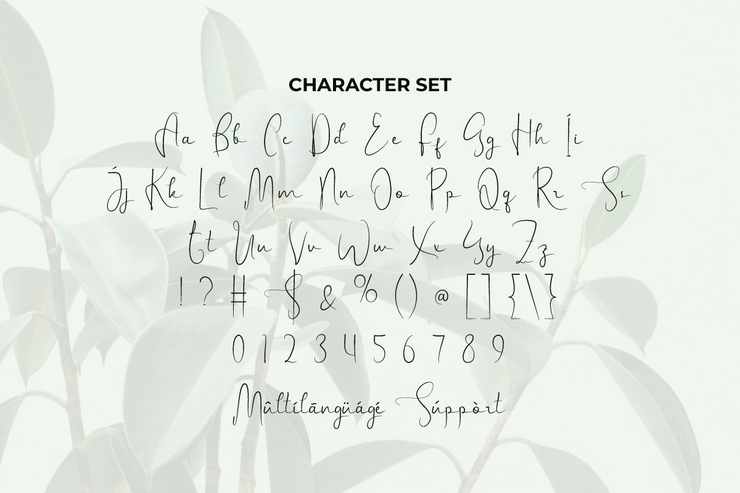 Stunning World字体 1