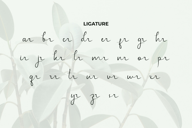 Stunning World字体 5