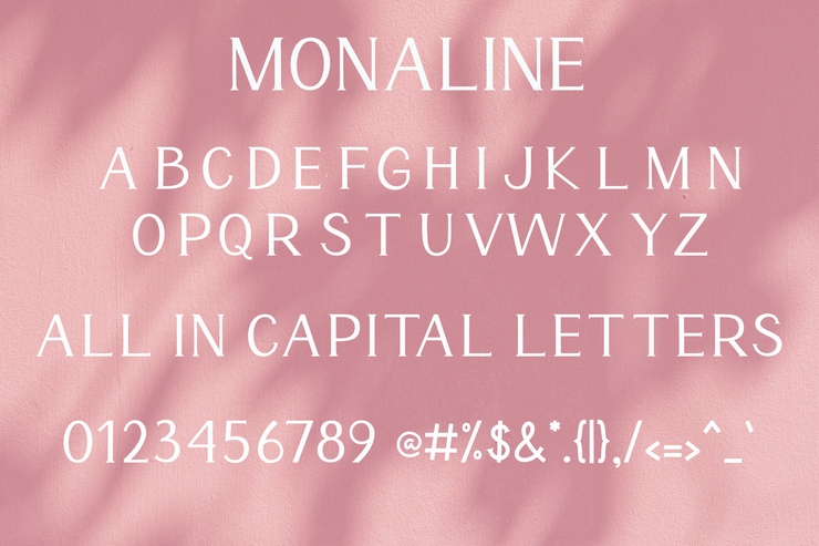 Monaline字体 3