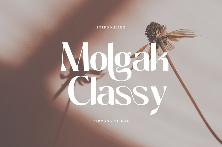 Molgak Classy字体 7