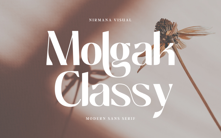 Molgak Classy字体 9