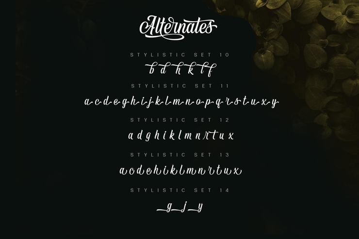Vontgod字体 9