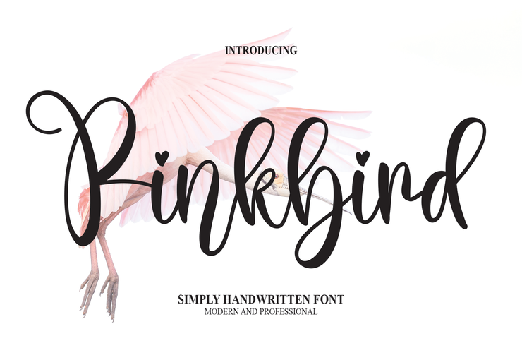 Pinkbird字体 1