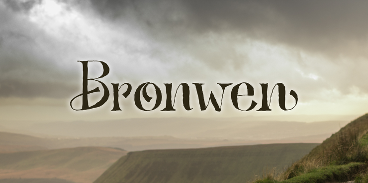 Bronwen DEMO字体 1