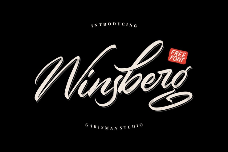 Winsberg字体 1
