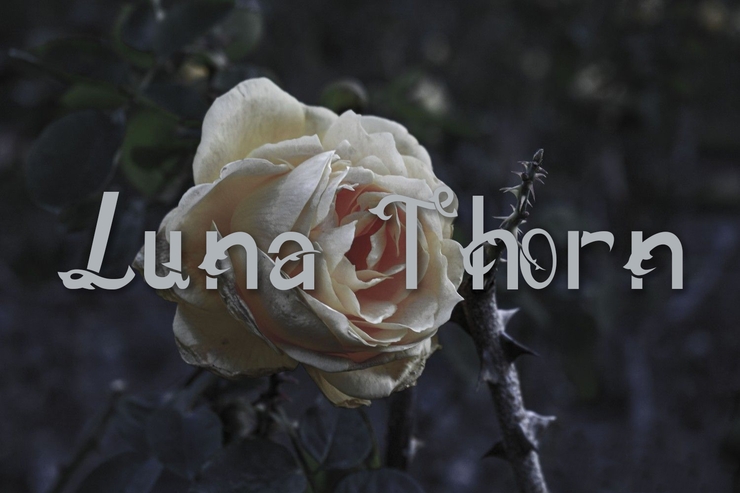 Luna thorn字体 1