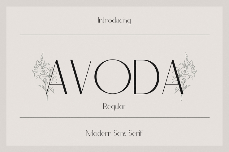 Avoda字体 2