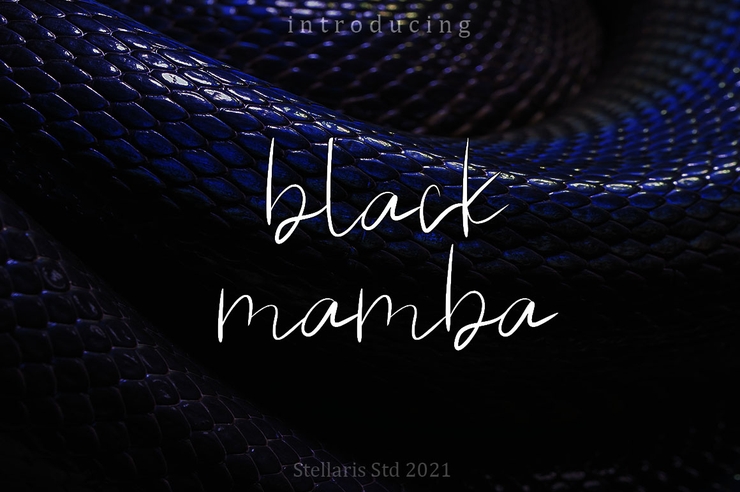 black mamba字体 2
