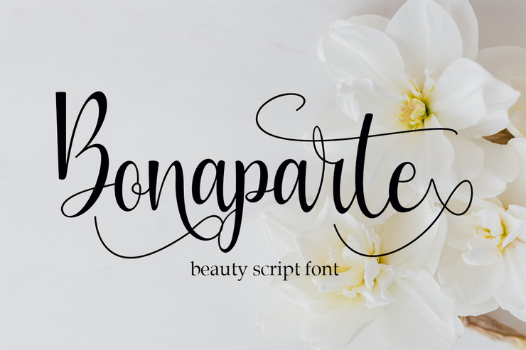 Bonaparte字体 1