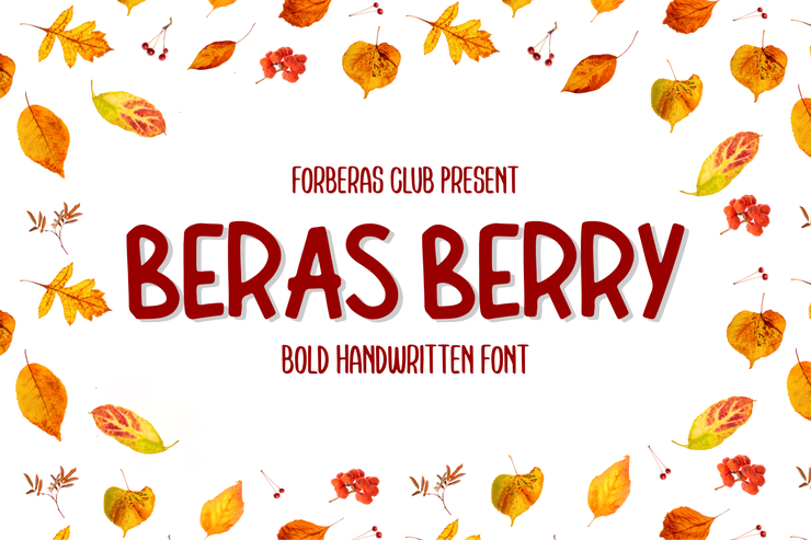 Beras Berry字体 2