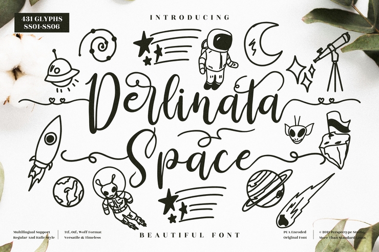 Derlinata Space字体 3