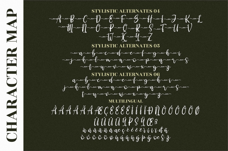 Derlinata Space字体 5