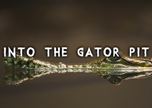 Into the Gator Pit字体 1