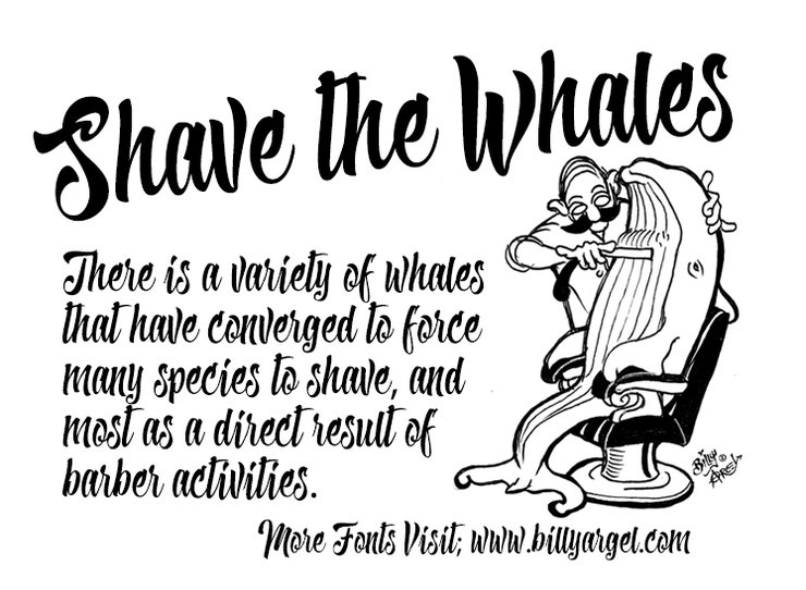 Shave the Whales字体 1