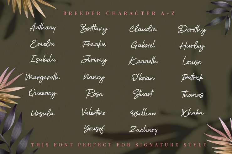 Breeder - Script字体 1