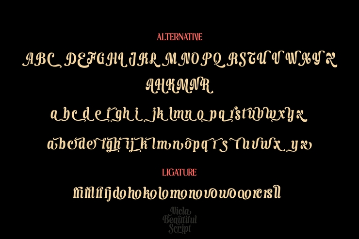 Nicla字体 2