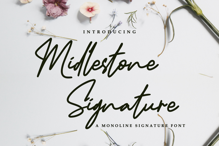 Midlestone Signature字体 4