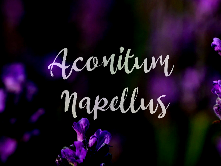 a Aconitum Napellus字体 1