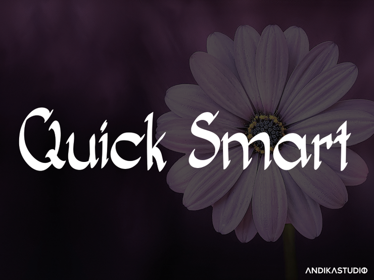 Quick Smart字体 1