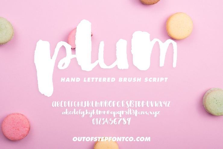 Plum Brush Script字体 2