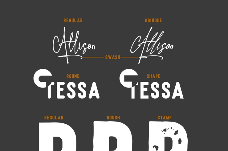 Allison Tessa Signature字体 4