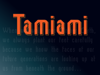tamiami字体 1