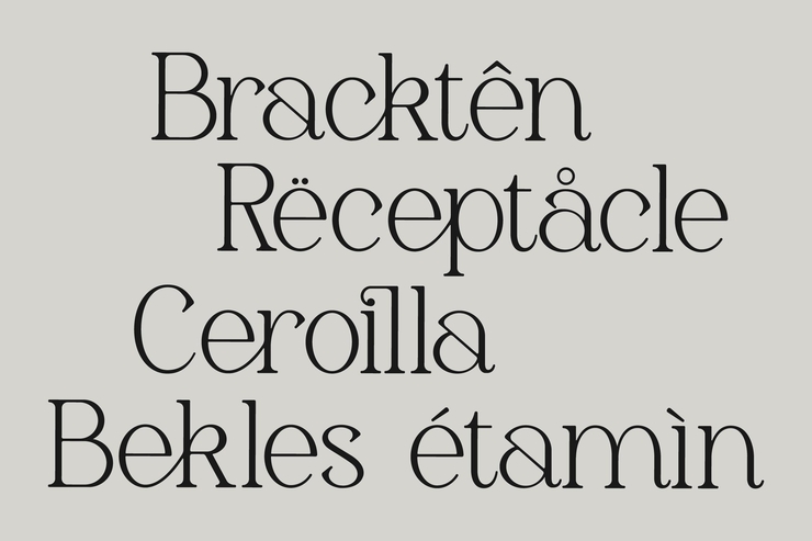 Gerlick字体 8