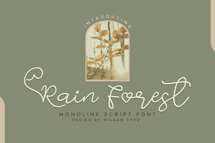 Rain Forest字体 3