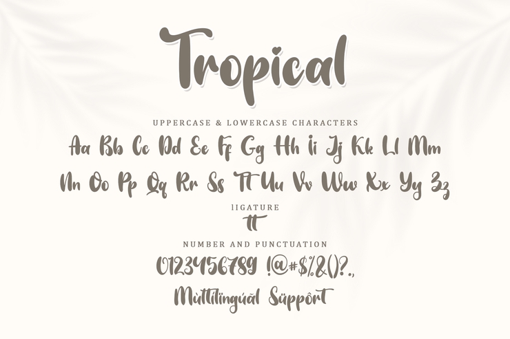 Tropical Display字体 3