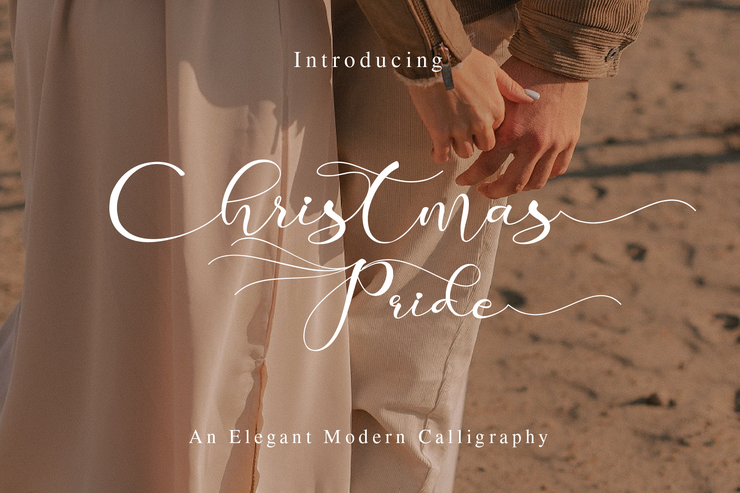 Christmas Pride字体 4