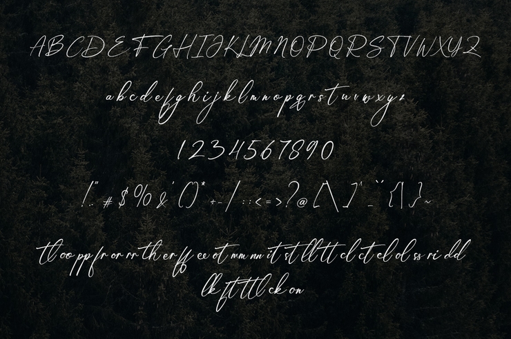 Florissant Handwriting字体 6