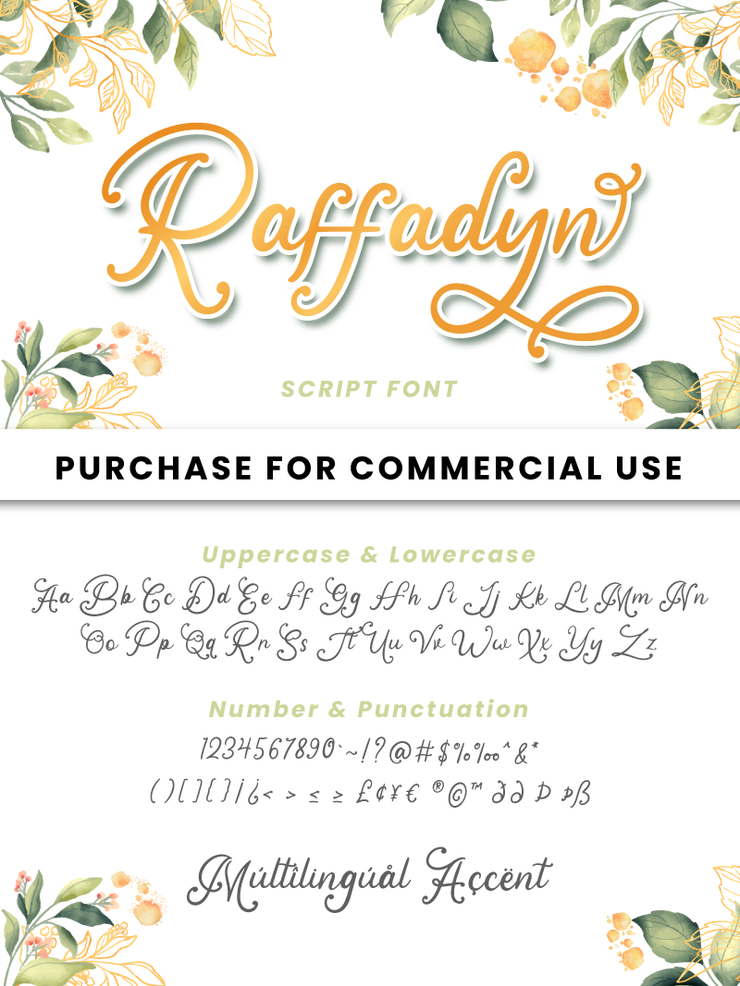 Raffadyn字体 2