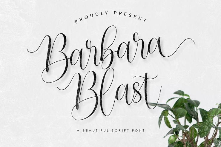 Barbara Blast字体 1