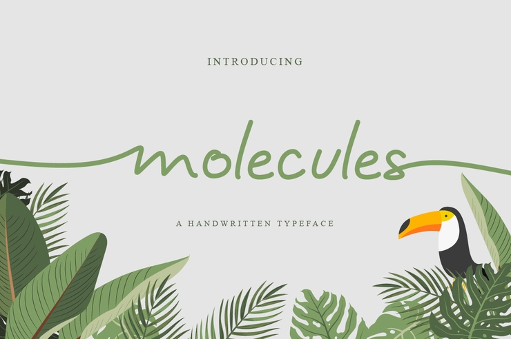 molecules字体 1