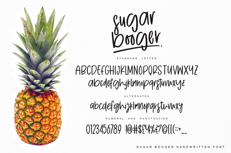 Sugar Booger字体 8